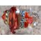 Kit bague Balleny Corail