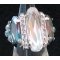 Kit bague Grande Balleny Satin